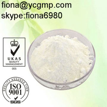 Supply Body Building Raw Powder Phenylephrine Hydrochloride/Phenylephrine Hcl 61